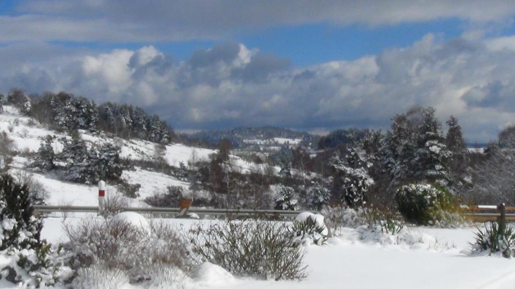 Hotel Logis Le Relais De La Poste Neuveglise ภายนอก รูปภาพ